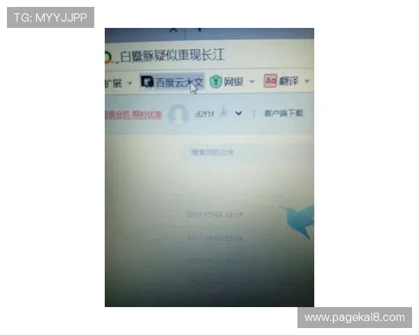 凯发ag旗舰厅客户端常见问题解决方案，快速排查登录、支付等常见技术难题